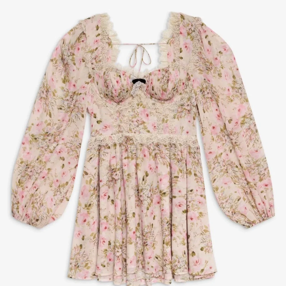 Emmaline babydoll Floral Lace-Trimmed bones bustier Dress - Picture 3 of 5